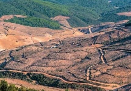 Küresel Gıda Krizi raporu: Yaklaşık 193 milyon insan akut gıda güvensizliği yaşıyor