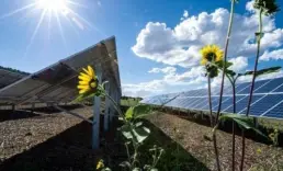 Küresel güneş enerjisi kapasitesi 3 teravat sınırını aştı