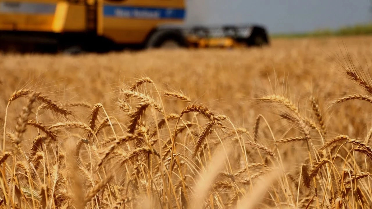 Küresel tarım piyasalarında Trump belirsizliği