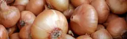 Kuru soğan ve yağlık ayçiçeği tohumu ithalatına gümrük vergisi düzenlemesi