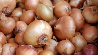 Kuru soğan ve yağlık ayçiçeği tohumu ithalatına gümrük vergisi düzenlemesi