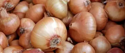 Kuru soğan ve yağlık ayçiçeği tohumu ithalatına gümrük vergisi düzenlemesi