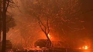 Los Angeles yangınları sonrası sigorta krizi derinleşiyor