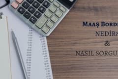 Maaş Bordrosu Nedir? Nasıl Sorgulanır?