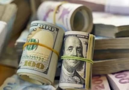 Mahfi Eğilmez hesapladı: Piyasanın ürkmesi 13 milyar dolarlık rezerve mâl oldu
