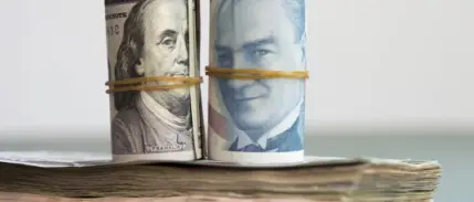 Mahfi Eğilmez yazdı: Dolar kuru gerçeği ne kadar yansıtıyor?