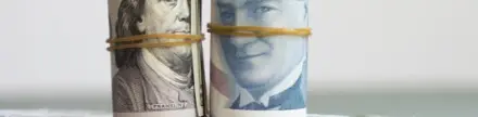 Mahfi Eğilmez yazdı: Dolar kuru gerçeği ne kadar yansıtıyor?