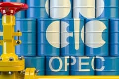 Mahfi Eğilmez yazdı: OPEC dağılıyor mu?