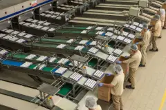 Maliyet artışları yumurta fiyatlarını tırmandırdı