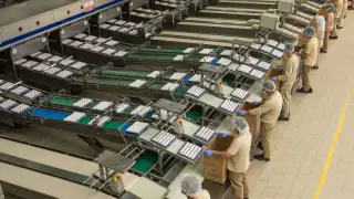 Maliyet artışları yumurta fiyatlarını tırmandırdı
