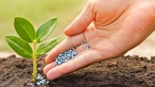 Manisa Ziraat Odası'ndan Gübre Fiyatlarının Zamlanmasına Tepki