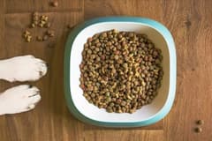 Mart ayında fiyatı en çok artan ürünler açıklandı