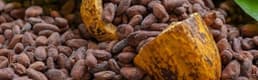 Mayısta fiyatı en fazla artan ürün kakao oldu