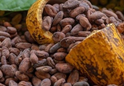 Mayısta fiyatı en fazla artan ürün kakao oldu