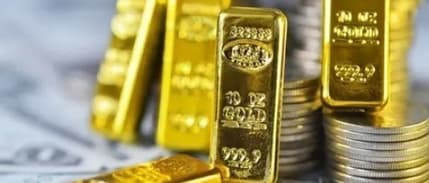 Merkez Bankası rezervleri iki haftalık kayıp serisini sonlandırdı