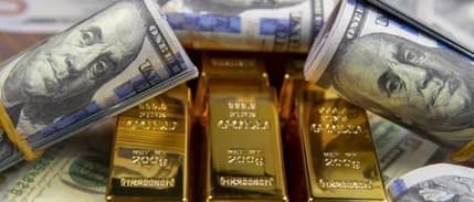 Merkez Bankası rezervleri rekor tazeledi
