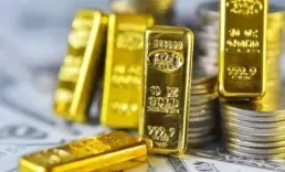 Merkez Bankası rezervlerinde 5,5 milyar dolarlık düşüş