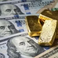 Merkez Bankası rezervlerinde 6 haftalık kayıp serisi sonlandı