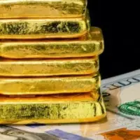 Merkez Bankası rezervlerinde düşüş beşinci haftaya taşındı
