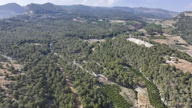 Mersin'de ormanlık alanlara girmek yaz boyunca yasaklandı