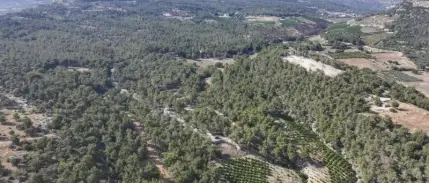Mersin'de ormanlık alanlara girmek yaz boyunca yasaklandı