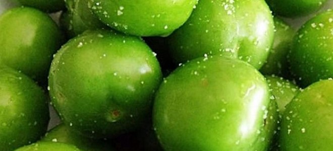 Mersin'de Yılın İlk Erik Hasadı Yapıldı