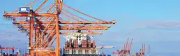 Mersin Limanı'nda kimyasal gaz sızıntısı iddiası