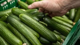 Bakanlık uyardı: Meyve ve sebzelerin usulsüz imhasında en ağır cezalar uygulanacak