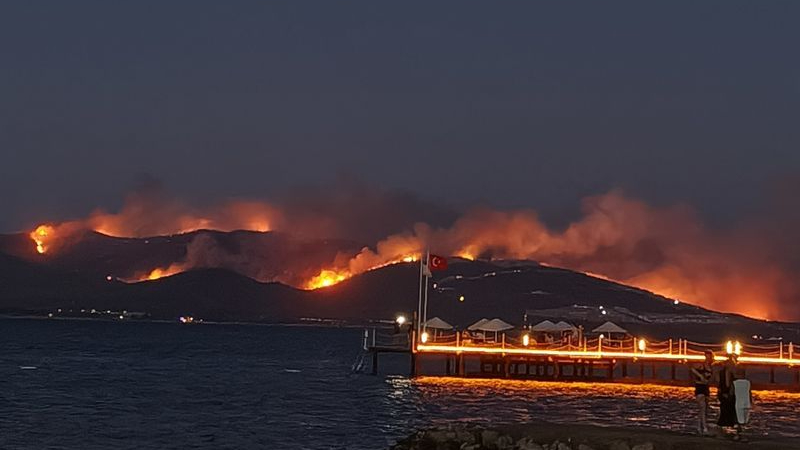 Milas'ta orman yangını: 1120 kişi tahliye edildi