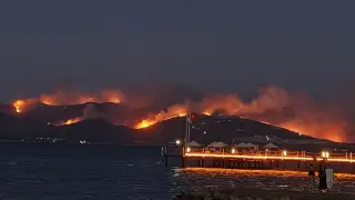 Milas'ta orman yangını: 1120 kişi tahliye edildi