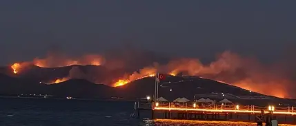 Milas'ta orman yangını: 1120 kişi tahliye edildi