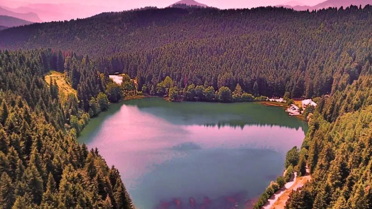 Milli Parklar Kanunu değişti: Geleneksel avcılık yasal zemine taşınıyor