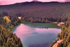 Milli Parklar Kanunu değişti: Geleneksel avcılık yasal zemine taşınıyor