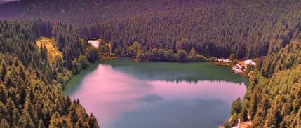 Milli Parklar Kanunu değişti: Geleneksel avcılık yasal zemine taşınıyor