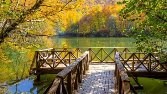 Milli parklar kanunu Resmi Gazete'de: Yeni dönemde neler değişecek?