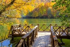 Milli parklar kanunu Resmi Gazete'de: Yeni dönemde neler değişecek?