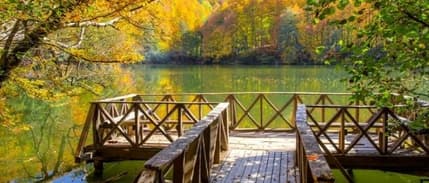 Milli parklar kanunu Resmi Gazete'de: Yeni dönemde neler değişecek?