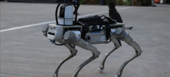 Milli robot köpek PROTEO, gelecek yıl göreve hazır olacak