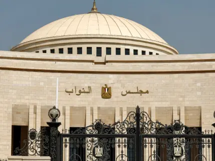 Mısır'dan Suudi Arabistan'a askeri destek kararı