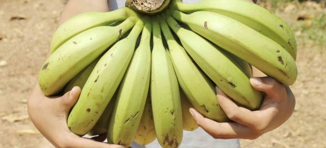 Muzda Gümrük Vergisi Korunmalı!