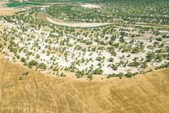 Çin'in Taklamakan Çölü projesi meyvesini veriyor: Atmosferden karbon emmeye başladı