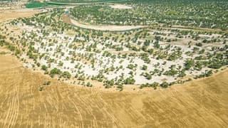 Çin'in Taklamakan Çölü projesi meyvesini veriyor: Atmosferden karbon emmeye başladı