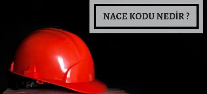 NACE kodu nedir? Sorgulaması nasıl yapılır?