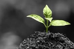 Nasıl emekli olunur? Emeklilik maaşını artırmanın yolları nelerdir?