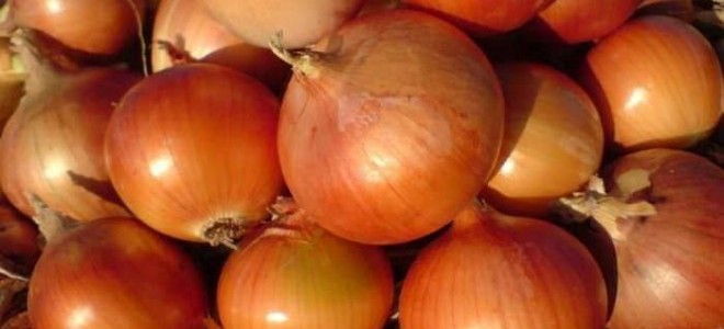 Nisanda fiyatı en fazla artan ürün kuru soğan, en çok düşen salatalık oldu