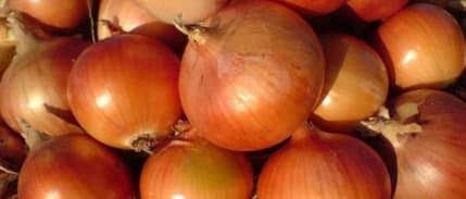 Nisanda fiyatı en fazla artan ürün kuru soğan, en çok düşen salatalık oldu