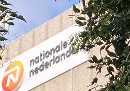 NN Group, Türkiye'den çekiliyor