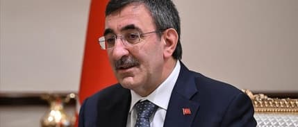 Nüfus Politikaları Kurulu ilk kez toplanıyor: Evlilik desteği ve doğum yardımı masada