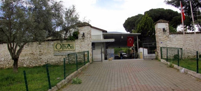 Ödüllü zeytinyağı markası Olivos konkordato talep etti
