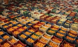 OECD - FAO Raporu: Nüfus Büyümesindeki Yavaşlama Gıda Talebini Düşürecek